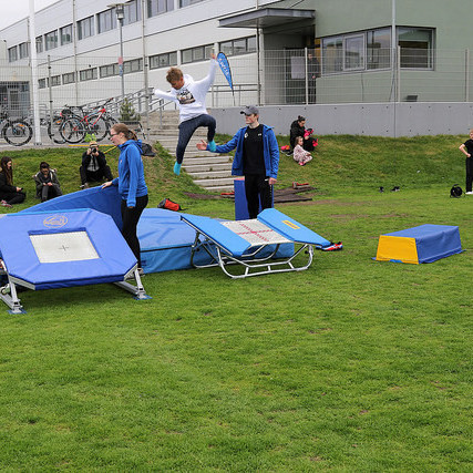 Fimleikasamband Íslands

mynd frá UMFÍ