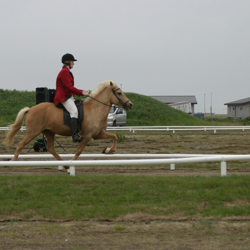 Ingrid Saga keppti í fjórgangi og tölti í ungmennaflokki