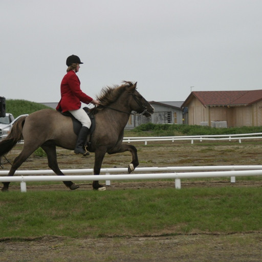 Ingrid Saga keppti í fjórgangi og tölti í ungmennaflokki