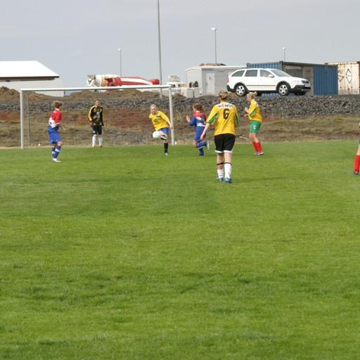 Sjöfn að hreinsa frá markinu