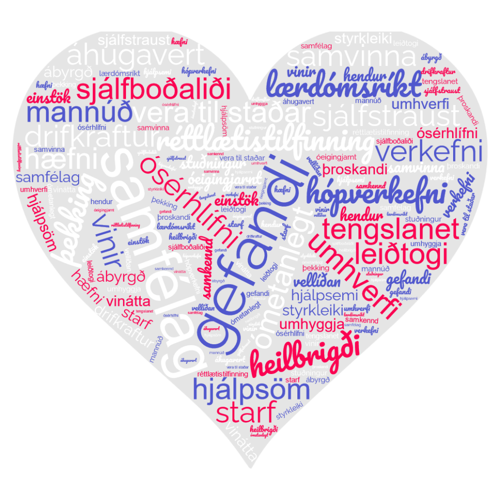 Dagur sjálfboðaliðans