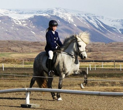 Hestaíþróttamót UMSS