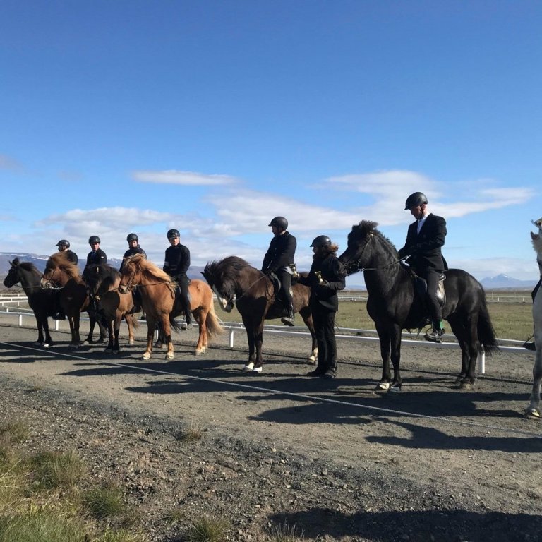 Hestamannafélagið Skagfirðingur