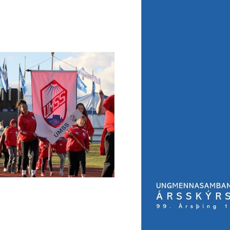 99. Ársþing UMSS