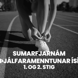 Þjálfaramenntun í fjarnámi - sumarönn 2024